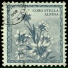 Coro Stella Alpina