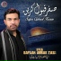 Syed Safdar Abbas Zaidi