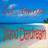 Ed Amann