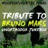 Piano Tribute Players