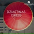 Dziastinas