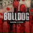 Bulldog