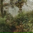 Honshu Lo fi