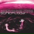 Jeff Deyo, SonicFlood