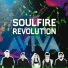 Soulfire Revolution