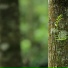 Relajar, Musica Para Dormir Bebes, Meditação Yoga