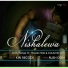 Afromania feat. Mchizi Mox, Country Boy