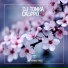 DJ Tonka, Calippo