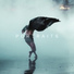 Samuel Bohn