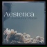 Aestetica