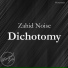 Zahid Noise, Knockoutkicks