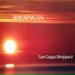 Sue Cappa Sheppard