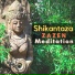 Shikantaza