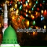 Kanwal Raza