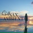 Relax α Wave
