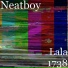 Neatboy