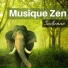 Musique Ambiance Détente