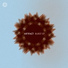 Artifact