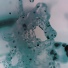 LaboreaL