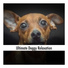 Dog Chillout Music