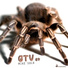 Apo Tulup Michael Chiritos Altri Fukushima