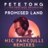 Pete Tong & Jules Buckley & Heritage Orchestra