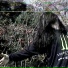Bones (edited by. k1rtay)