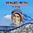 Dengbej Metin