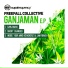 Freefall Collective