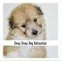 Doggy Calm