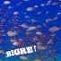 Bigre!