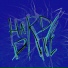 Dope Data, X.WAVE