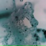 LaboreaL feat. Margaux Poinsot