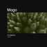 Mogo