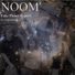 Noom