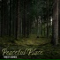 Nature Tribe, Relaxation And Meditation