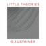 Little Theories