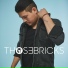 THOSEBRICKS