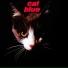 Cat Blue