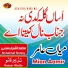 Mian Aamir
