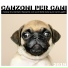 Cani Accessori
