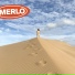 MERLO