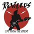 The Revillos!