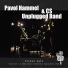Pavol Hammel, CS Unplugged Band