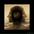 Dharmalogy, Strange Mind