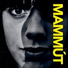 Mammút