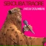 Sekouba Traoré