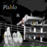 Pablo & Tocayo's