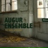 Augur Ensemble