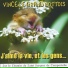 Vince Le Grand Mottois